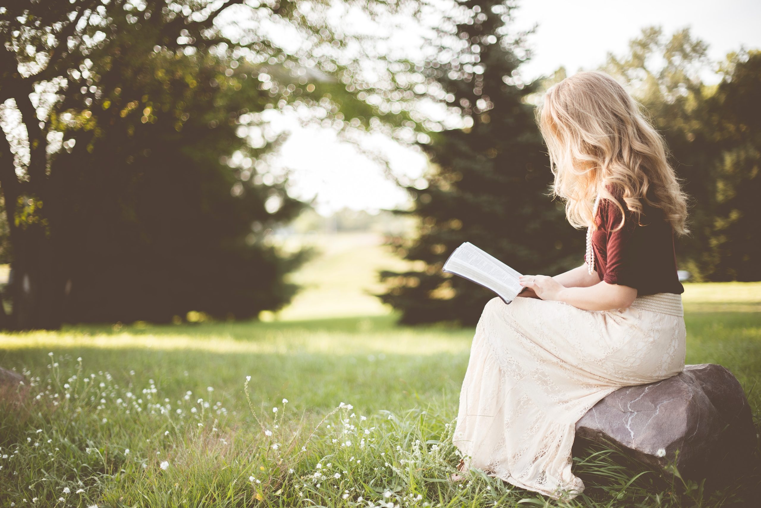 Featured image for “What is Biblical Fiction?”