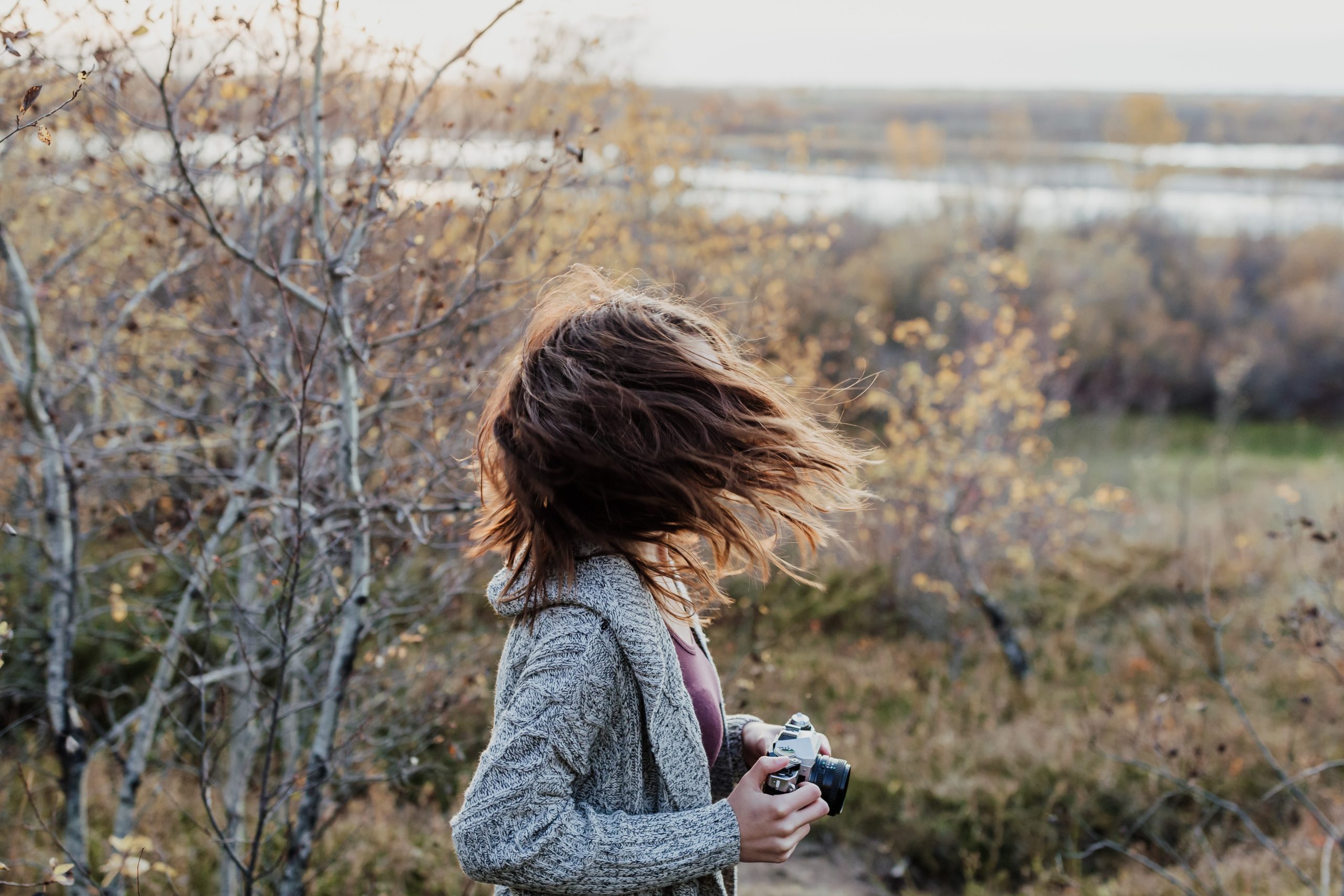 Featured image for “Windfall”