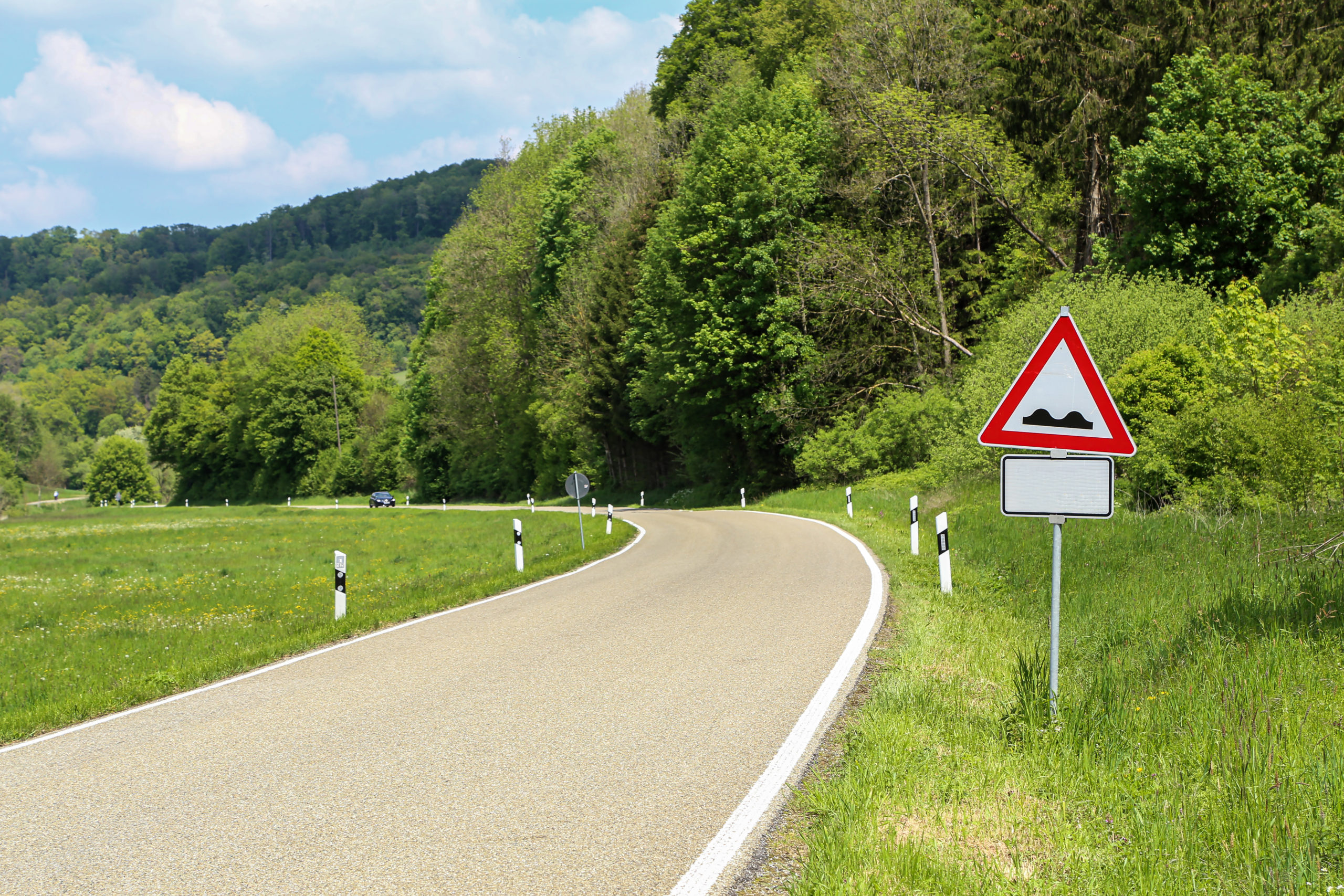 Featured image for “Speed Bumps”